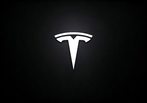 Tesla company profile and org chart blog