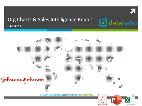 Johnson & Johnson org chart cover