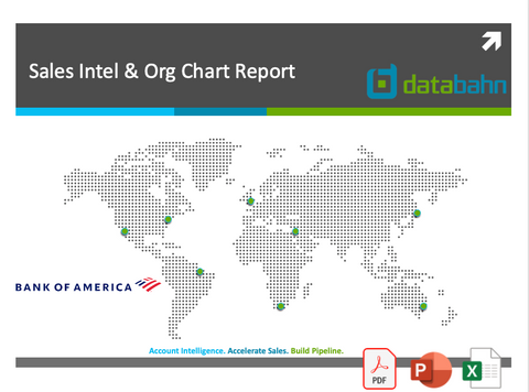 Bank of America Org Chart & Sales Intelligence Report Free Sample cover