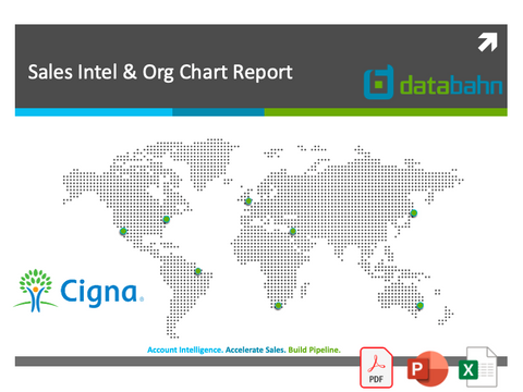 Cigna Org Chart & Sales Intelligence Report cover